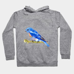 Bluebird Drawing in Watercolor - Drawing Bird Hoodie